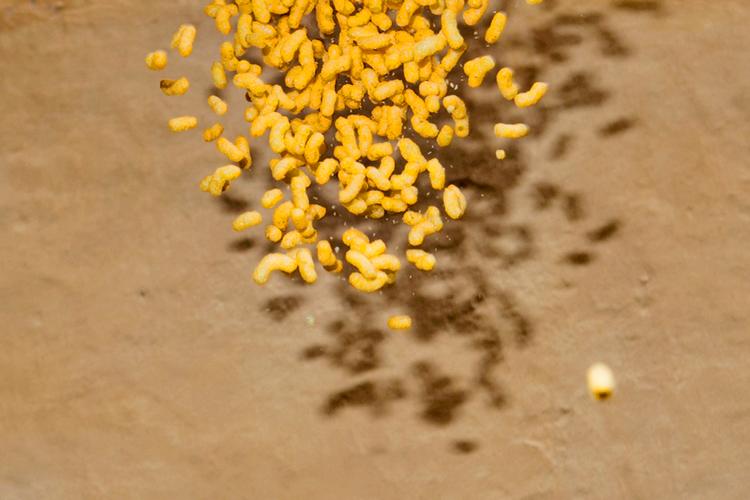 Arkivfoto:  Gregers Tycho