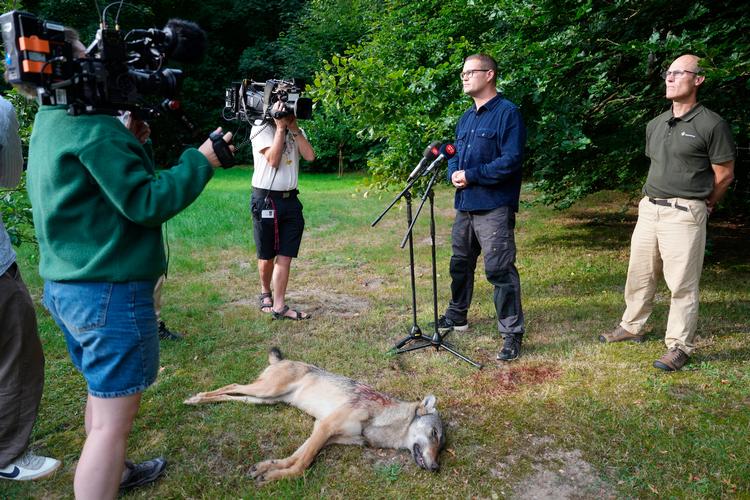 Foto: Claus Fisker/Ritzau Scanpix