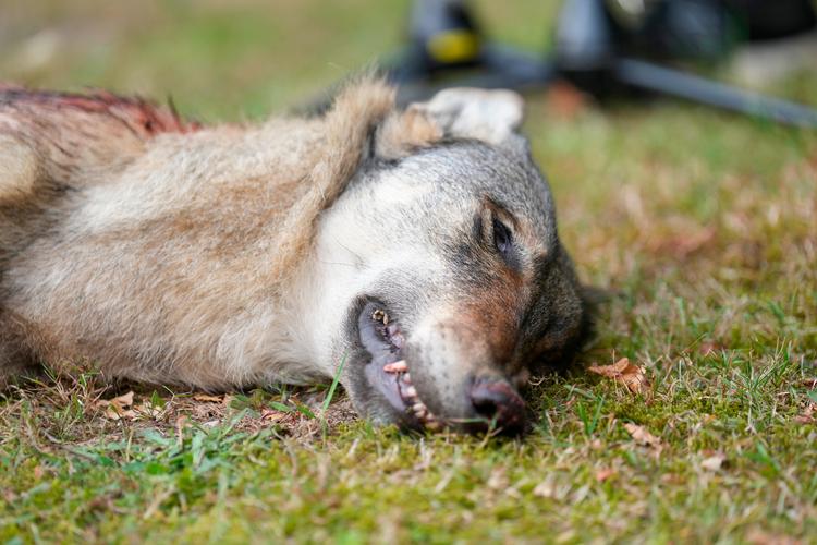 Foto: Claus Fisker/Ritzau Scanpix