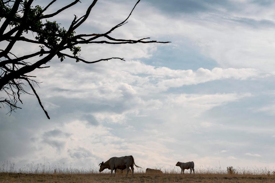 Foto: Olivier Chassignole/Ritzau Scanpix