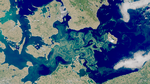 Foto: 
Kilde: TV 2 og Data fra EUMETSAT/Sentinel-3 (Copernicus) 