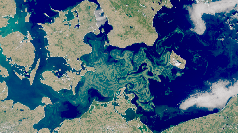 Foto: 
Kilde: TV 2 og Data fra EUMETSAT/Sentinel-3 (Copernicus) 