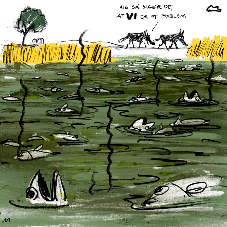 Tegning: Mette Dreyer