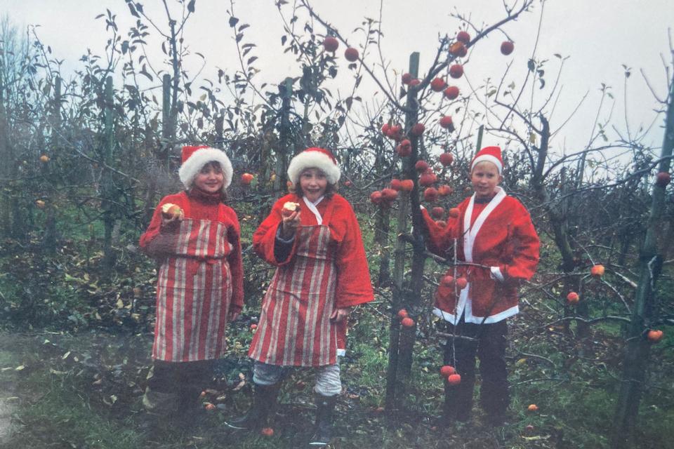Maja Rimer er datter af en frugtavler, der skabte en af landets største økologiske æbleproduktioner. I dag er hendes barndoms æbleplantage på vej væk, og det er en sorg, man kun kender, hvis man er vokset op på et landbrug, skriver hun.   