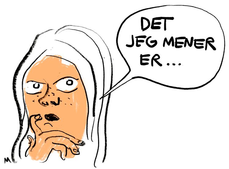 Foto: Mette Dreyer/POLITIKEN