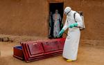 Foto: Gradel Muyisa Mumbere/Ritzau Scanpix