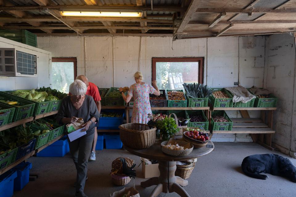 I gårdbutikken på Yduns Have møder lokale og turister de grøntsager, som Hester Callaghan kæmper for at holde danskproducerede. Foto: Karla Ellingsøe