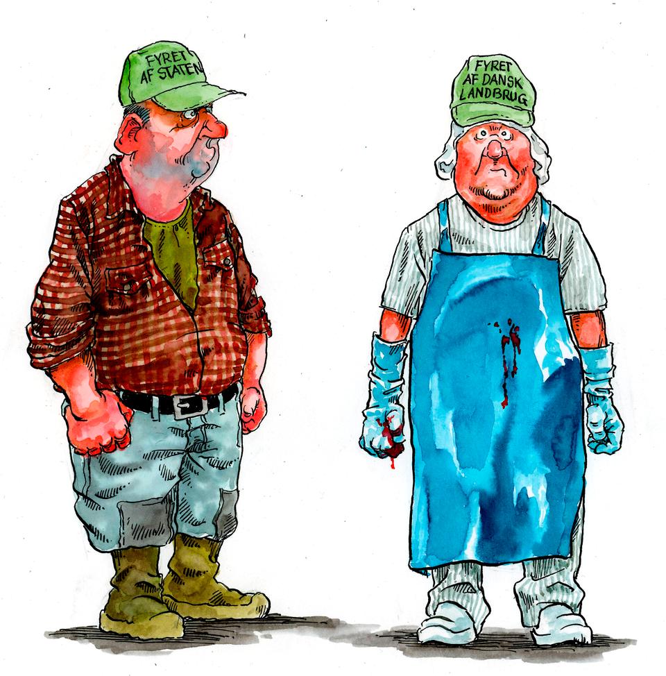 Roald Als/POLITIKEN