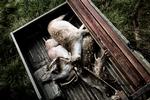Foto: Line Ørnes Søndergaard
