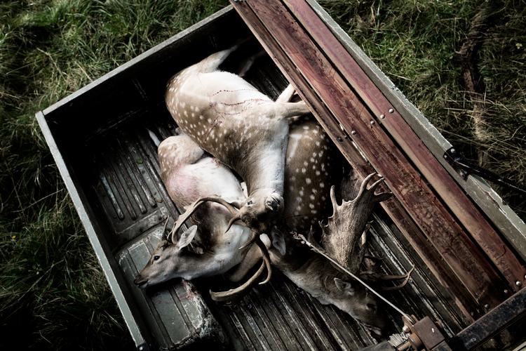 Foto: Line Ørnes Søndergaard