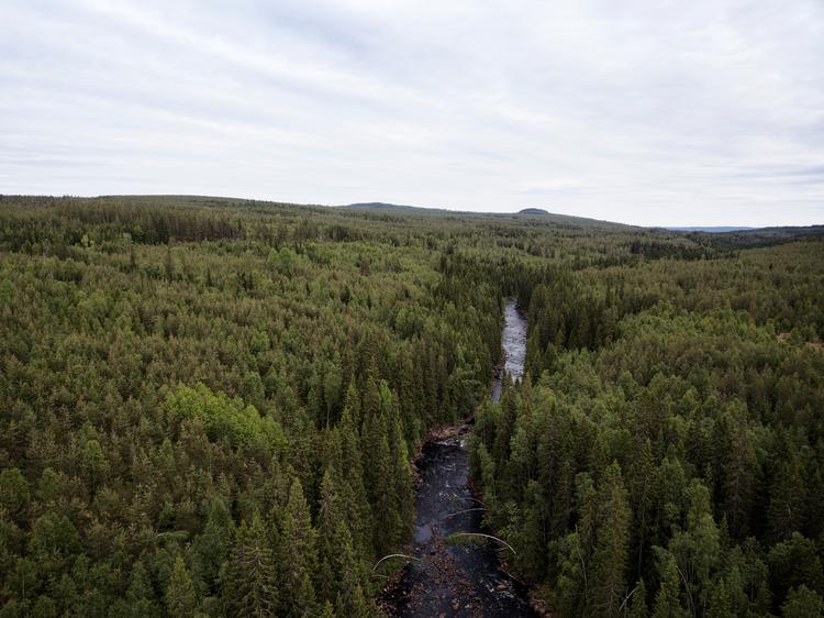 Foto: Johannes Skov Andersen Pol