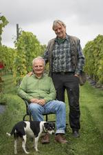 De to vinbrødre, Torben Bo Toldam-Andersen og Ejgil Edfort Andersen (stående), i den synfynske vinmark, hvor de forsøger at udvikle nye sorter til skandinavisk vinavl. Gårdhunden i forgrunden hedder Saxo. Foto: Vilma Søndergaard