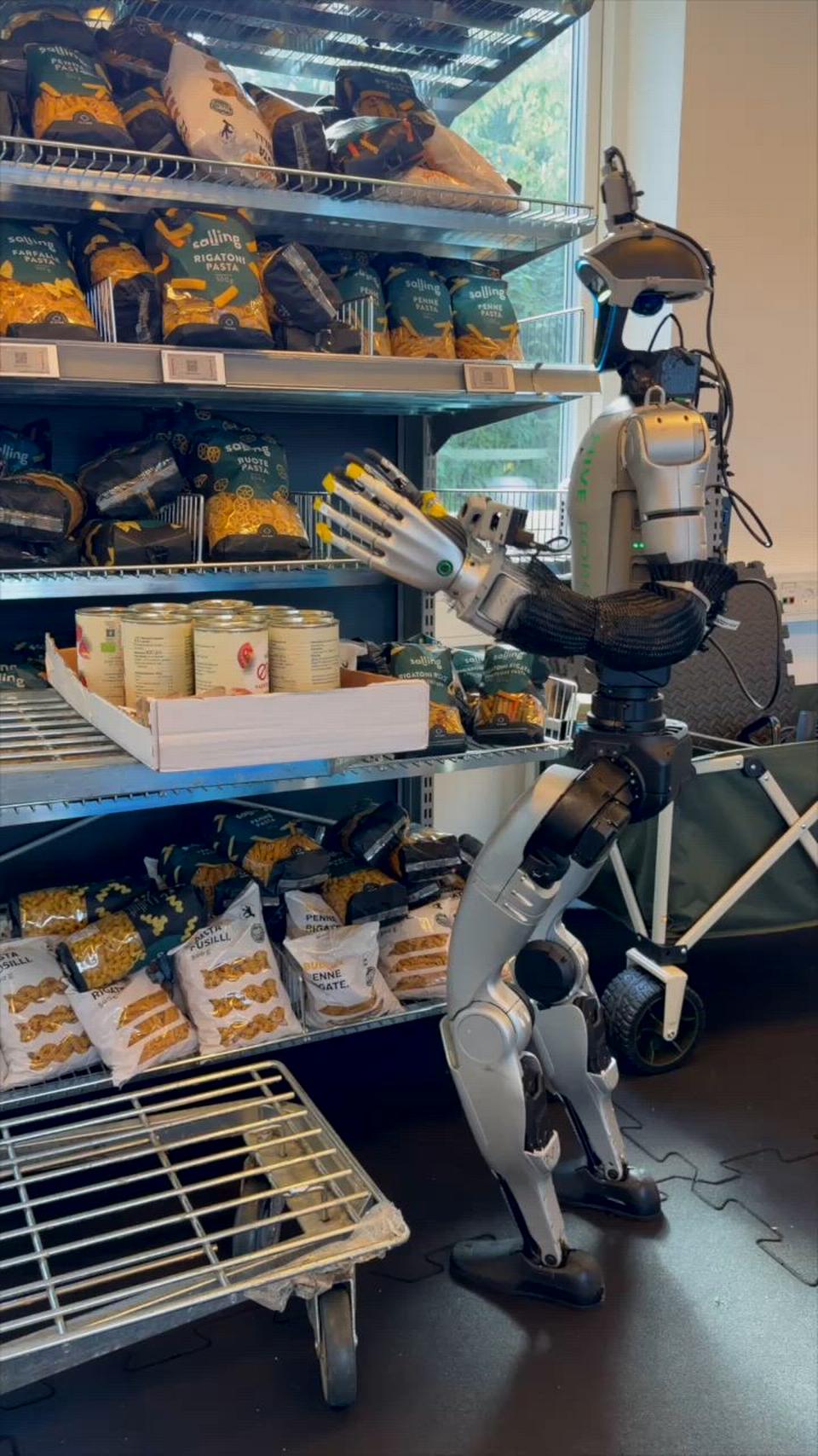 'Killer robots' make the world gasp. It's hard to understand when you meet the Danish robot Danni