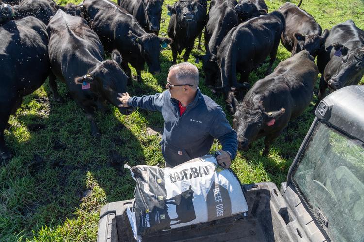 Justin Robbins er fjerde generation, der dyrker jorden og passer dyrene på gården uden for Scranton i Iowa. Han, konen Lacie og sønnen McKinley avler Angus-kvæg og sælger kød direkte til forbrugerne. Foto: Bryon Houlgrave