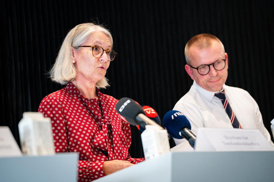 Udenom alle systemer bombarderede hackere et af Danmarks mest følsomme it-systemer 14 millioner gange