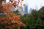 Vernon Duke savnede New York, da han i 1934 skrev sin evergreen  ’Autumn in New York’. Foto: Timothy A. Clary/Ritzau Scanpix