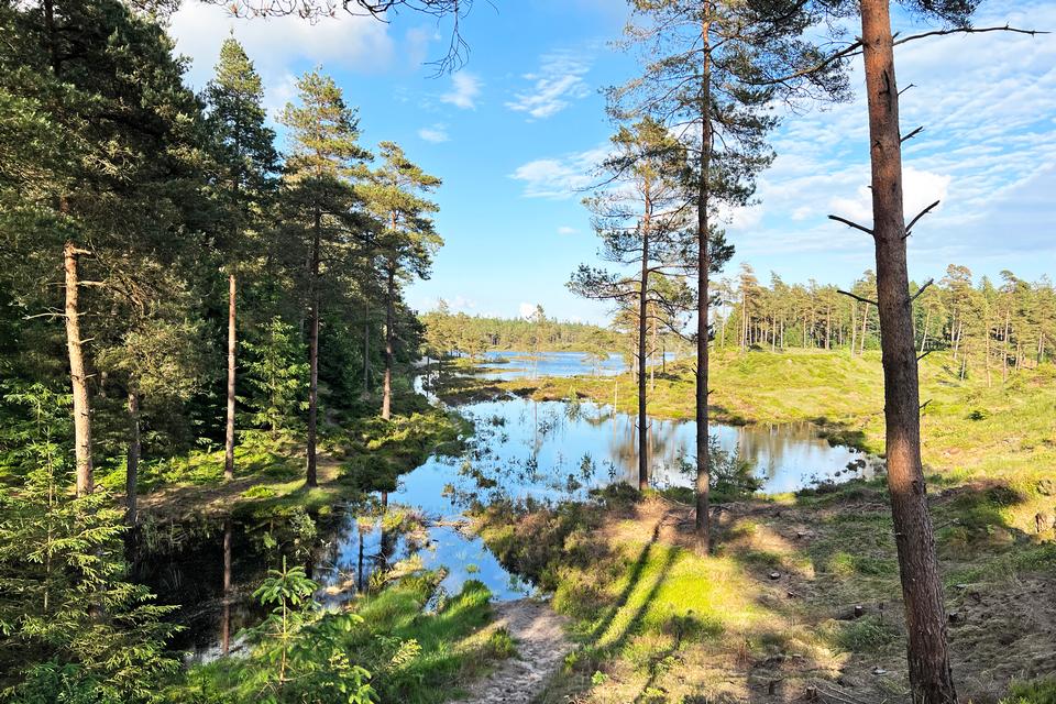 Foto: Wikimedia Commons