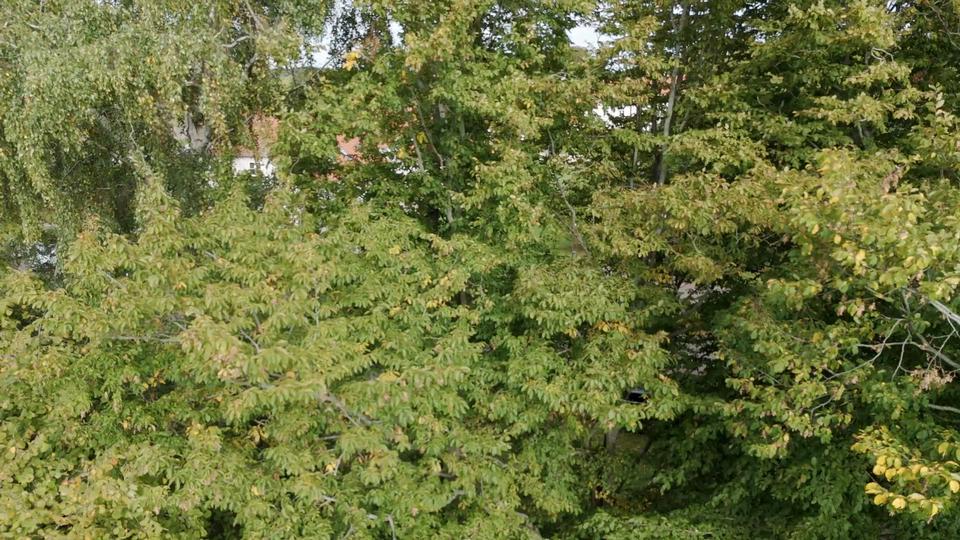 De følte, at noget var helt galt på højskoleopholdet, og så optog de mødet i skjul
