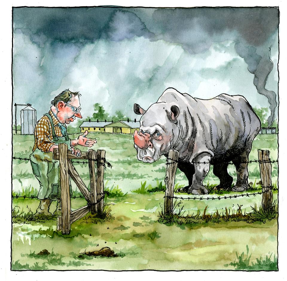 Roald Als/POLITIKEN