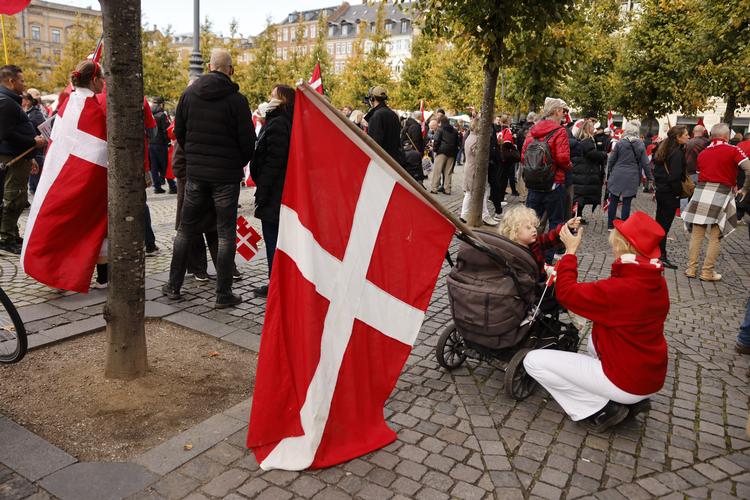 Demonstranter for remigration er samlet på Kongens Nytorv.  Foto: Jacob Ehrbahn