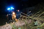 Foto: Thomas Borberg/Ritzau Scanpix