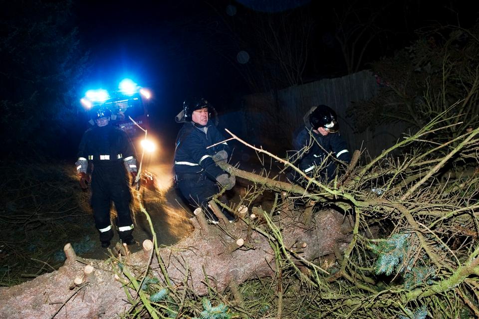 Vindstød er stormstyrke rammer Danmark: Væltede træer flere steder i landet