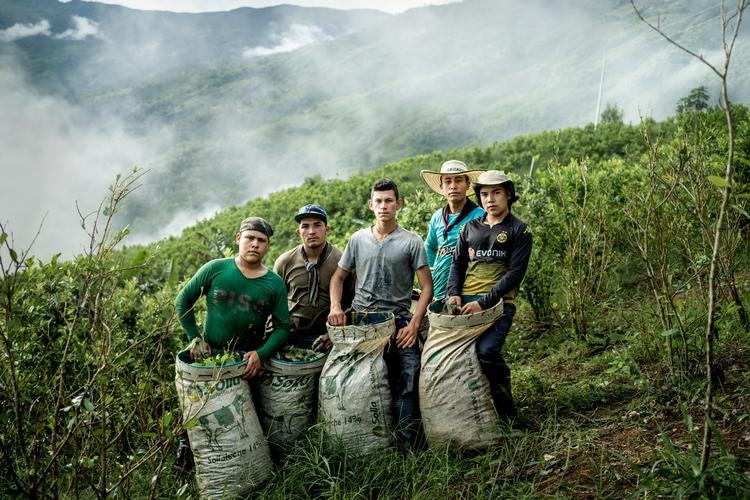 130c-58862662-28-10-2016-ekstra-coca-hope-over-fear-colombias-path-to-peace-mads-nissen