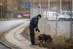 Politiets hundepatruljer fra det meste af landet søger efter den pistol som gerningsmanden brugte, da han skød en politibetjent foran politigården i Albertslund tirsdag.  