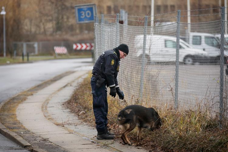 Politiets hundepatruljer fra det meste af landet søger efter den pistol som gerningsmanden brugte, da han skød en politibetjent foran politigården i Albertslund tirsdag.  