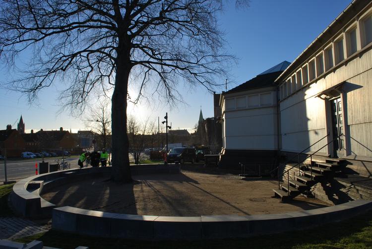 Her er bænken ved det gamle bøgetræ ved at blive opført. 