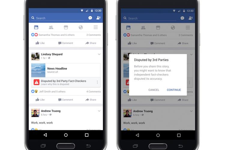 Facebook Fake News-Options