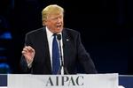 Donald Trump har valg den kontroversielle ortodokse jøde og advokat David Friedman som ny amerikansk ambassadør til Israel. 