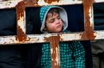 En dreng er sammen med sin familie blevet transporteret fra det østlige Aleppo, som har oplevet de hårdeste kampe den seneste uge, til den vestlige del af byen. 