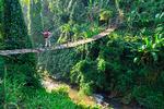 Måske er du usikker på, hvordan, hvornår og hvor i det nordlige Thailand, du skal henlægge din rejse? En specialkonsulent kan sælge dig sin viden. 