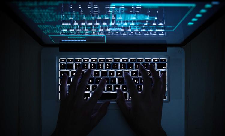 Cybertroldene er allerede i fuld sving. En eventuel folkeafstemning om EU-forsvarsforbeholdet fremhæves som et oplagt mål.  