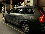 Uberrobottaxa