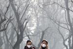 Kinesiske kvinder bærer masker mod luftforureningen. Flere rejsebureauer  fortæller om kinesere i titusindvis, der forsøger at slippe ud af hovedstaden og de omkringliggende byer. 