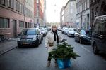 Juleaftensdags voxpop på Vesterbro