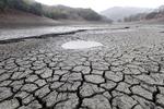 Tørre tider i San Jose. Californien har de senere år været hårdt ramt af tørke, der menes at hænge sammen med klimaforandringerne. Også derfor fortsætter den amerikanske stat kampen mod global opvarmning - Donald Trump eller ej. Foto: AP/Marcio Jose Sanchez 