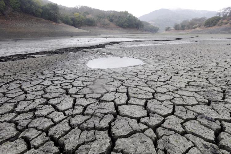 Tørre tider i San Jose. Californien har de senere år været hårdt ramt af tørke, der menes at hænge sammen med klimaforandringerne. Også derfor fortsætter den amerikanske stat kampen mod global opvarmning - Donald Trump eller ej. Foto: AP/Marcio Jose Sanchez 