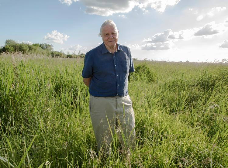 Den britiske naturfjernsynslegende David Attenborough får kritik for ikke at forholde sig til udryddelsen af truede dyrearter. 