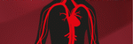 Kol_Guide_top
