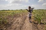 Afrika blev ramt af den værste tørke i 35 år, hvor de værst ramte lande er de sydøstlige, blandt andet Etiopien. Unicef anslog i september, at 47 millioner mennesker manglede mad på kontinentet, og at det ville koste 1,45 milliarder at sikre mad til de tørkeramte. Kilde: UNICEF. 