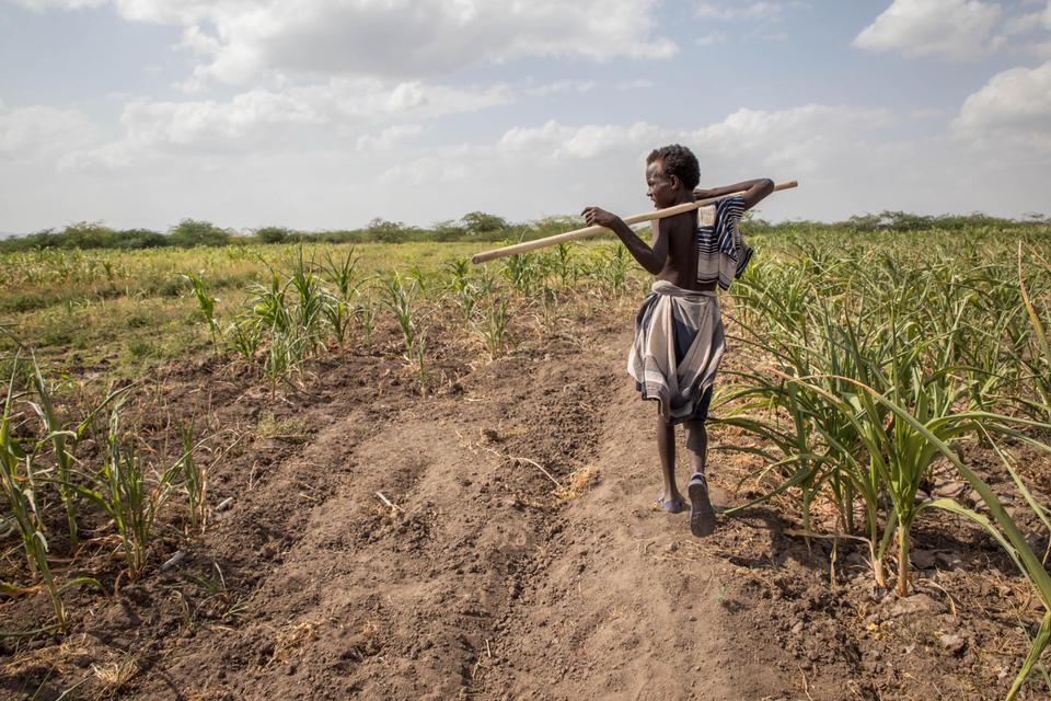 Afrika blev ramt af den værste tørke i 35 år, hvor de værst ramte lande er de sydøstlige, blandt andet Etiopien. Unicef anslog i september, at 47 millioner mennesker manglede mad på kontinentet, og at det ville koste 1,45 milliarder at sikre mad til de tørkeramte. Kilde: UNICEF. 