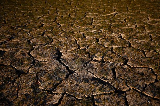 Lake Purdy i Alabama er ved at revne. Alabama oplevede i november højere temperaturer end normalt kombineret med mindre regnfald. Det skriver Alabama Local News. 