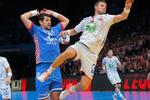 France Handball World Championship