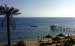 Sharm el-Sheikh har været karakteriseret som en spøgelsesby. Turister har holdt sig væk, og næsten halvdelen af byens hoteller har lukket ned. Men nu giver den danske rejsevejledning igen grønt lys for rejser til Rødehavsbyen. 