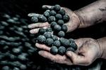 Temaet for årets lakridsfestival er 'Black Basic - keep it simple'. Det handler om den rene smag af lakrids og om lakrids i ganske almindelige hverdagsretter.  