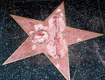 Oktober sidste år blev Donald Trumps stjerne på ' Hollywood walf og Fame'. Tirsdag fik hærværksmanden en betinget dom på tre år.  