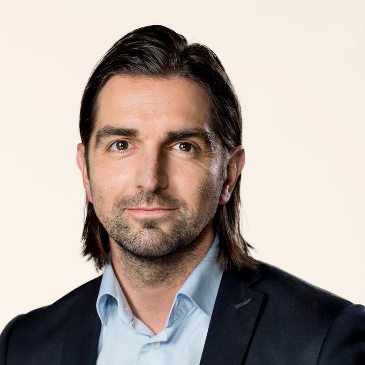 René Gade, freds- og forsvarsordfører, Alternativet 